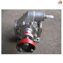 新聞 廠家供應(yīng)柴油油泵 12v電動(dòng)自吸抽油泵 汽車機(jī)油潤滑齒輪柴油油泵招商