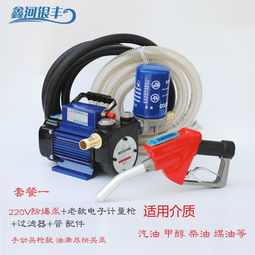 電動(dòng)抽油泵12v24v220v汽油柴油加油泵車載防爆輸油泵手提式抽油機(jī)