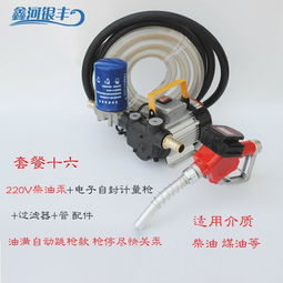 電動(dòng)抽油泵12v24v220v汽油柴油加油泵車(chē)載防爆輸油泵手提式抽油機(jī),一品好特惠